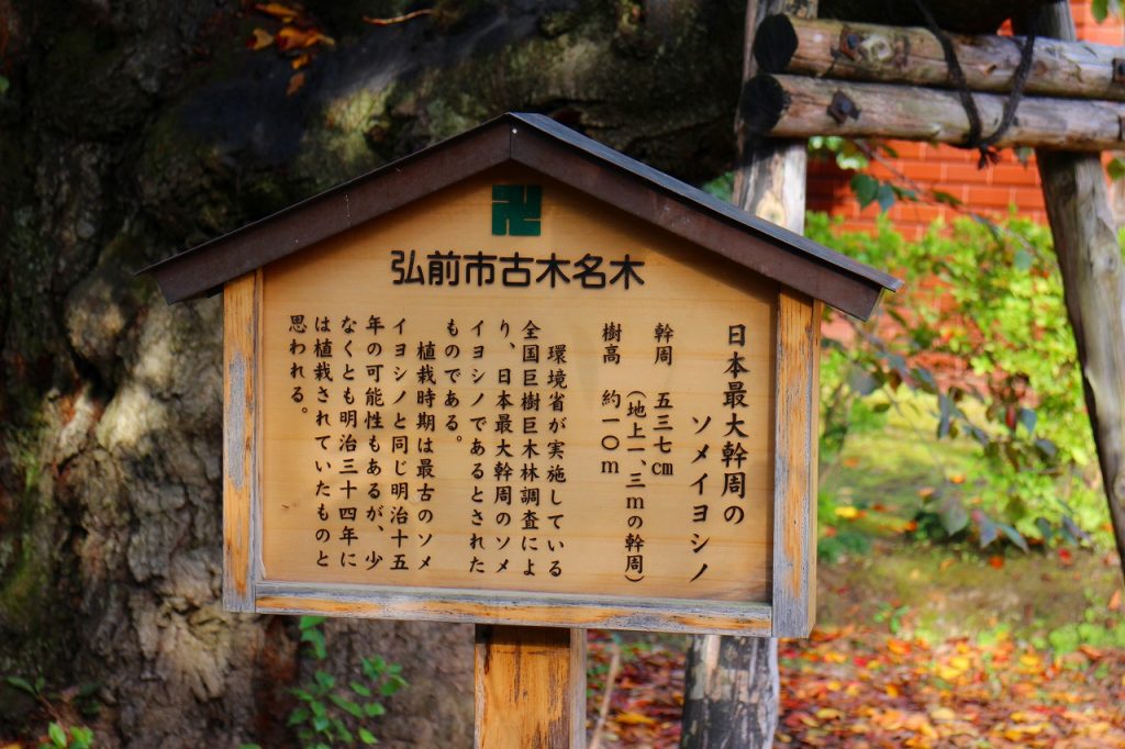弘前公園にある樹木を紹介する看板。市民に弘前公園の桜に愛着を持ってもらう一助となっている。